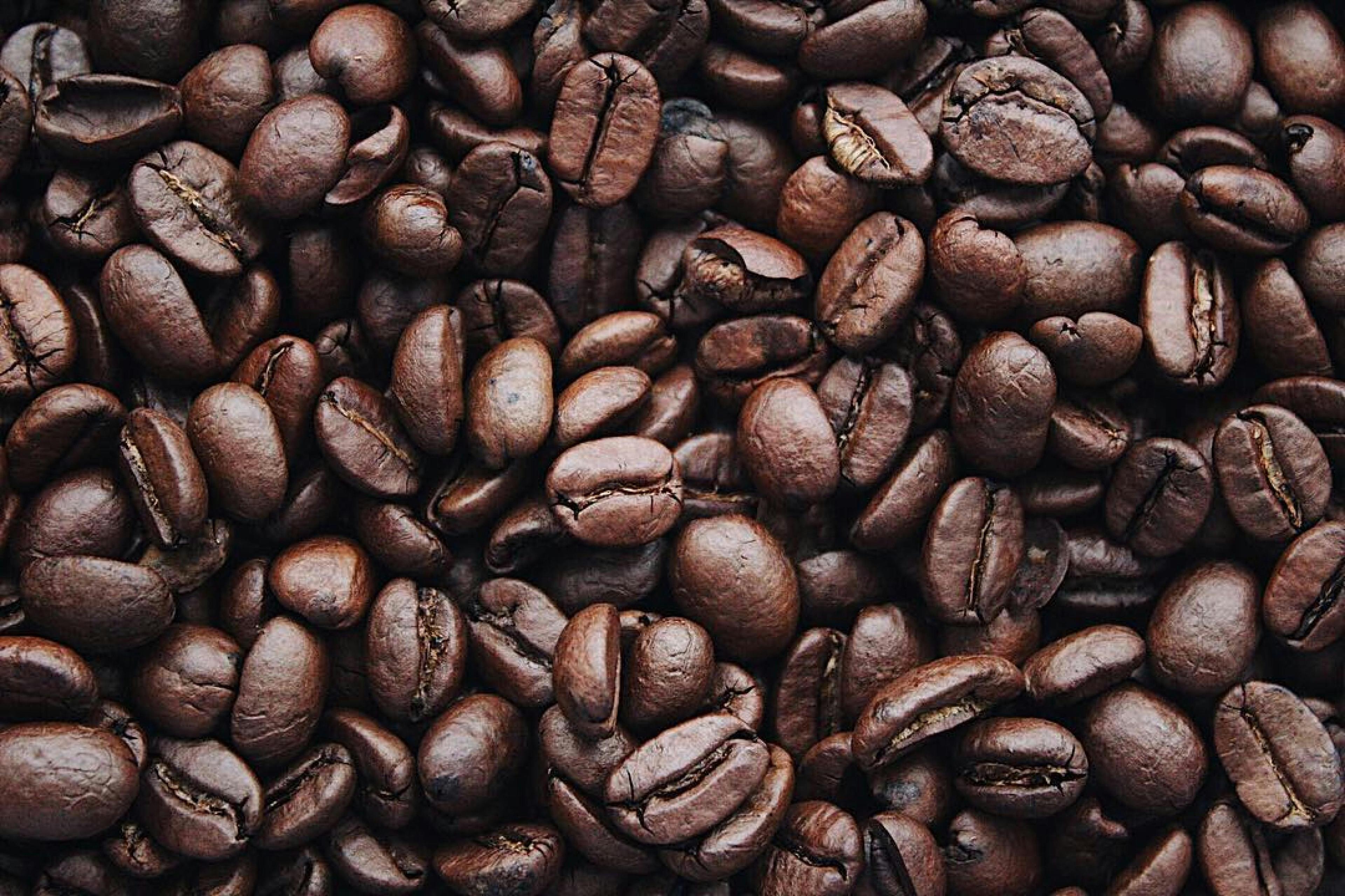 Coffee field background